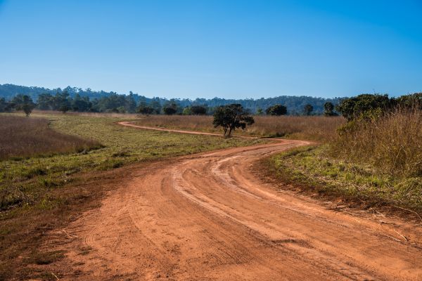Dirt Driveway Repair in Huntsville