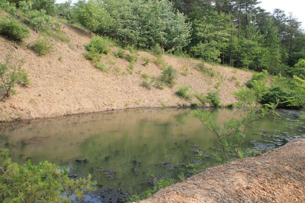 Pond Erosion Repair in Huntsville