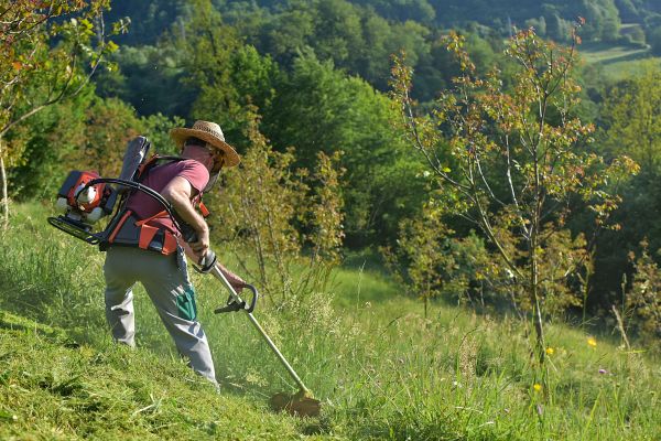 Cost of Slope Trimming in Huntsville